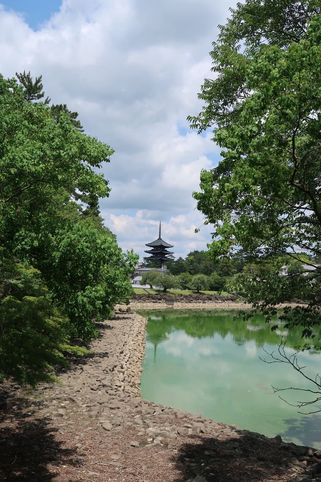 奈良ホテルに泊まることがメインの目的だったのでこの日は観光をガッツリしたりはしませんでしたが、ちょっと欲しいものがあって少し移動することに。