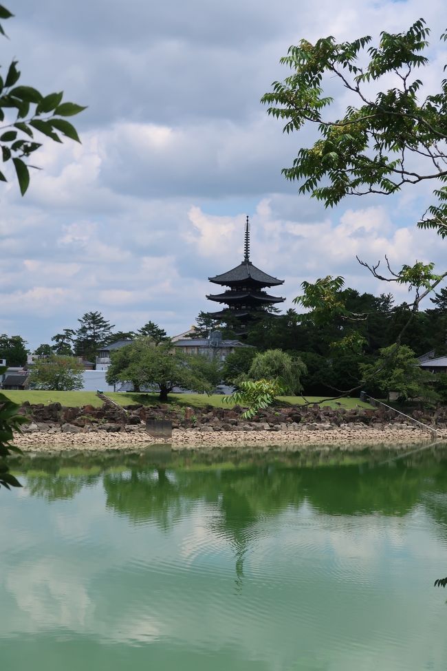 緑の水面に五重塔が写っています。