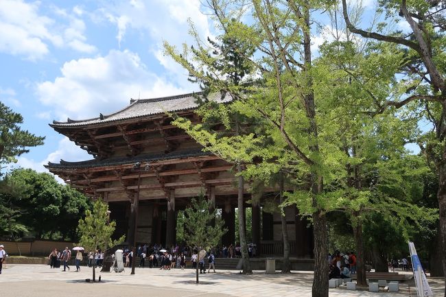 歩いて東大寺まできました。<br />欲しかったものが東大寺ミュージアムのミュージアムショップに売っていないかな、と期待したのですが、ここにはなく。<br /><br />今回は観光目的ではないので引き返すことに。