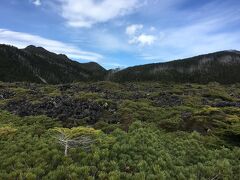 ゴツゴツした岩の間に、歩きやすいように歩道が整備されていて、山の上を一周できる。
足の悪い方はご遠慮くださいとあるけど、左回りで歩くとそんなに大変でもない。
15分ほどで一周するが、季節が合わなかったようで、高山植物は見えなかった。。