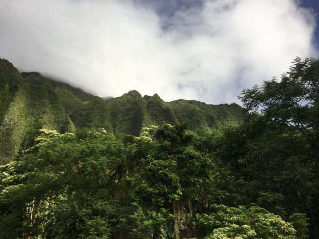 30分ぐらい乗りました。<br />ワイキキを離れると、ずっと普通の田舎のような景色でした。<br />観光地はワイキキだけみたいですね。街がそのままディズニーランドみたいなテーマパーク。<br />本当のハワイとはきっと違うんだろうなとか考えちゃいました。