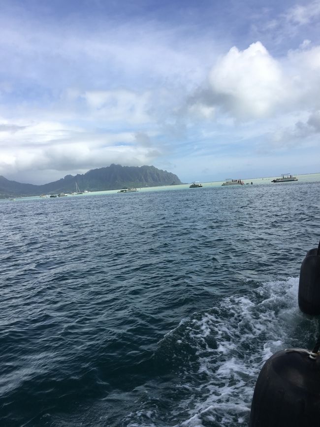 見えてきた！<br />海の色が違う！！