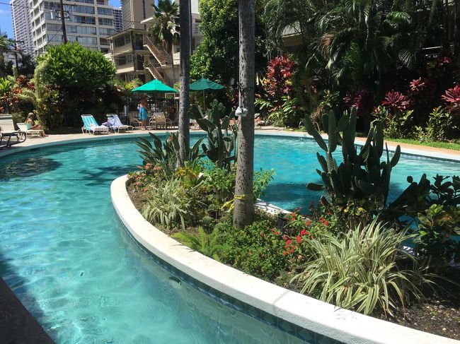 ホテルに戻ってコインランドリーで洗濯。<br />ワイキキサンドヴィラホテルのプールに少し入りました。<br /><br />実はカハラよりも広い。しかし、年齢層の高いプールです笑<br />若い人も泊まっているホテルかと思いますが、若い人はお買い物とか街に繰り出している笑<br />ちょっとチェアがあります。<br />