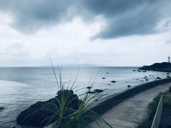 目の前に海が広がります。<br />晴れていればなぁ・・・と思うけど、<br />それでもいい風が入って心地よいです。<br />観音崎灯台も見えます。