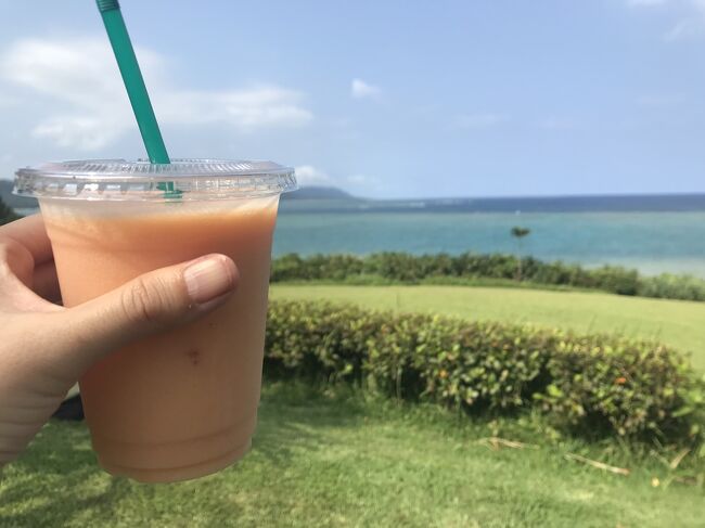 農園でとれたパイナップルとパパイヤのミックスジュースを、<br />青い海を眺めながら、心地よい風を受けながら・・・<br />美味しくいただいました。