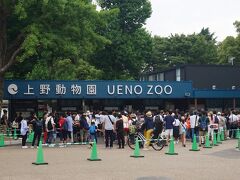 　今回の目的地は、上野動物園です。９時半の開園前、平日だというのにこの行列。特段のイベントがあっているわけでもないのに、すごい…

