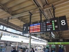 　そして某日は、ヨメさんに勧められ日本橋へ。東京の著名な街って、行ったことないトコ多いんですよね。渋谷とか六本木とかも、ほぼ未知の世界です。
　なので日本橋が、東京駅から徒歩圏内という「感覚」もありませんでした。
