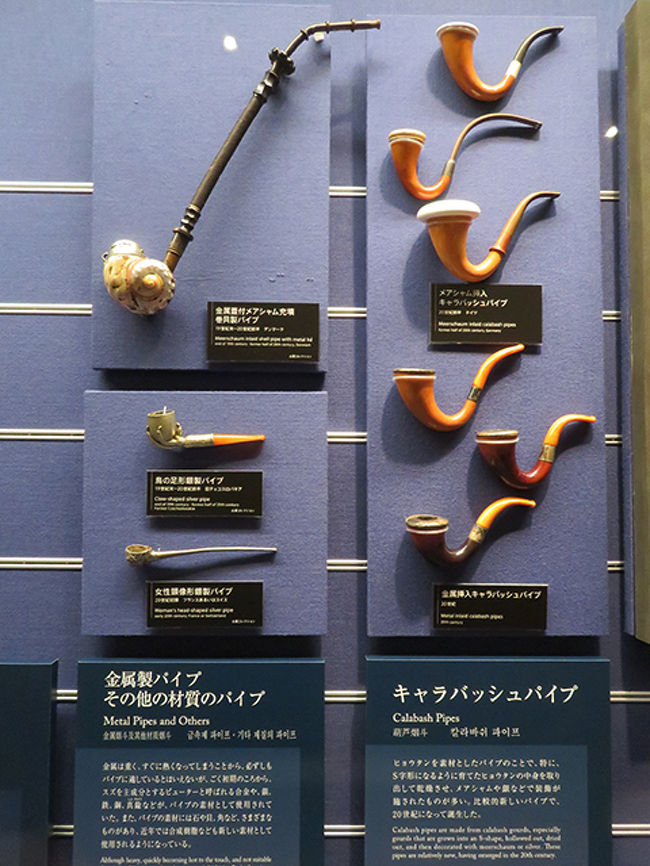 シャンシャン記念乗車券で菖蒲巡り A 後編 東京の旅行記 ブログ By のほりんさん フォートラベル