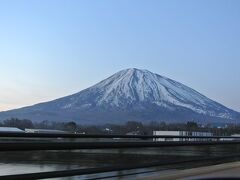 北海道の有名なお花見スポット五稜郭公園でお花見散歩をするため、夜中の２時に自宅を出発するつもりが、二人して２時に起きる大誤算(笑)
１時間遅れの３時に自宅を出発し、羊蹄山麓経由で函館へ。
出発時はまだ真っ暗だった空も徐々に明るくなり、羊蹄山の麓へ近づく頃にはすっかり明るくなりました。
私たちが通るときは割と雲がかかっていることが多い羊蹄山ですが、この日は山頂までハッキリ見えて幸先いい感じ。