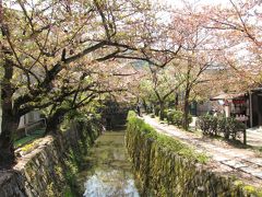 ２０１９年４月１８日　木曜日　ＡＭ9：45

哲学の道　銀閣寺～永観堂に伸びる河川小道
