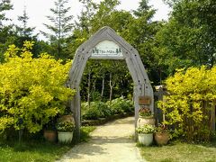 森のレストラン「Ten-Man」へ