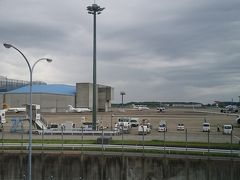 左側は成田空港。