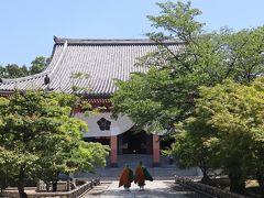 豊臣秀吉の長男・鶴松を祀って創建された祥雲禅寺。
すれ違った僧侶の方々からは、何か特別なオーラを感じました。