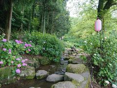 小野池あじさい公園