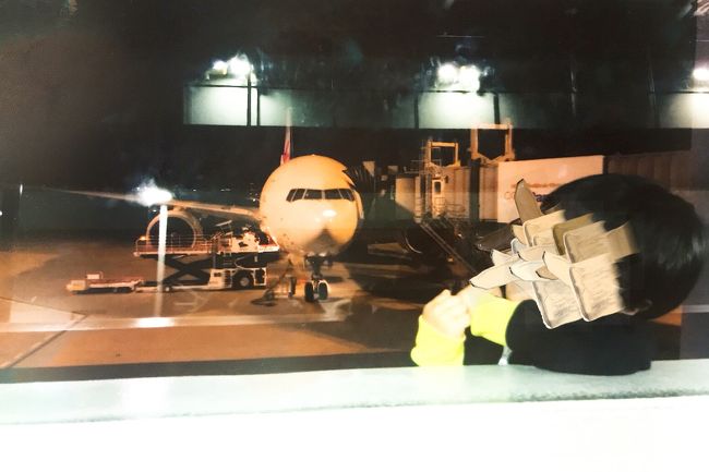 27日夜に出発。息子1歳のオーストラリア以来の海外フライトだけど、ちゃんと寝るかな。ドキドキ。<br />と思ってたら、めっちゃ大人しく映画みて、すっと寝て、めっちゃ楽チンやった！3歳ってすごい。