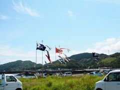 須崎経由で、中土佐に着きました。
高知県は鯉のぼりたくさん上がってますね。良い文化です。
特に中土佐ではお子さんの大漁旗も上がるらしく、めちゃめちゃかっこいいです。