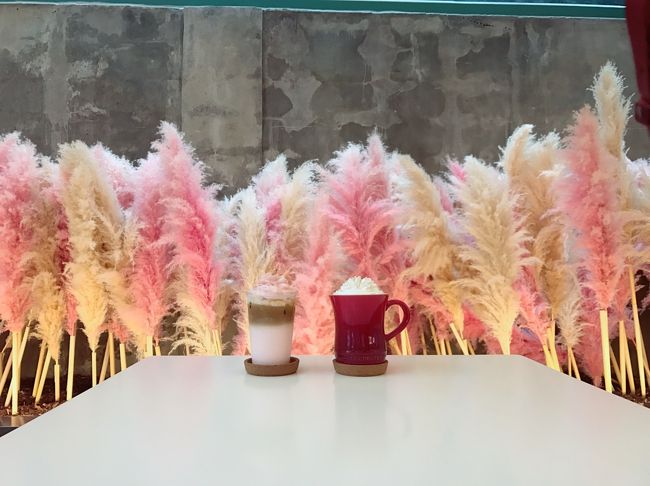 フワフワの羽可愛い。