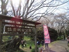 佐倉城址公園
コチラでもさくらののぼり。