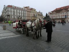 広場には観光用でしょうか馬車もいましたよ。