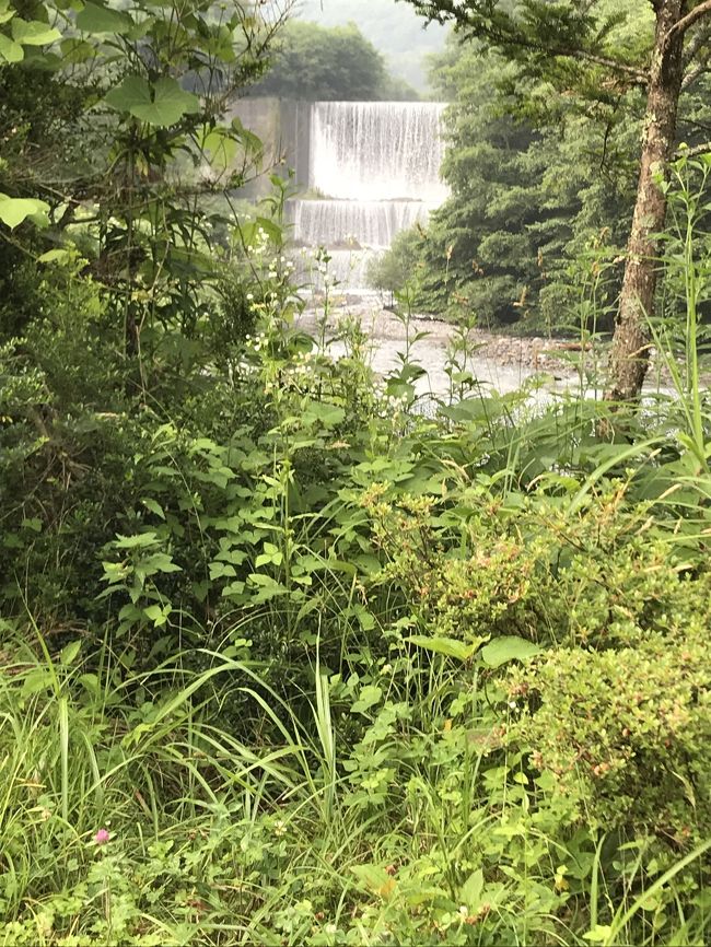 なんか水浴びしたい