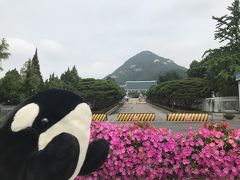 明日はトランプさんが来るので、アメリカの国旗が掲げられていました。