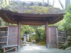 「祇王寺」にやってきました。祇王寺は、平家物語に関係があるお寺ですが、それよりも庭園の青紅葉等がきれいな場所として有名です。
この山門もなかなか趣ありますよね。