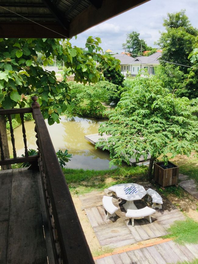 魚がいた<br /><br />でも姿は見えない