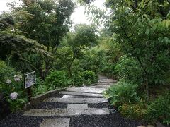 続いては、石川町の中心部に向かいました。
訪ねたのは、石都々古和気神社というところ。
石川町役場の裏手にありました。

ここ、アジサイの小径といわれるところで、散策に最適なのですが、バケツをひっくり返したような雨が降ってきたので、散策はあきらめました。