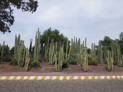 テオティワカン遺跡博物館