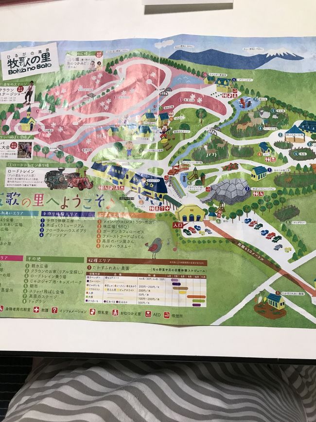 高原だから、涼しいと思いきや、パンフレットのように芝生も広がりますが、暑い💦影がないのです。影はまだ涼しいですが。羊さんもバテ気味でした。ただ、水遊びができるところがあり、リノリーノは、大喜びでした。