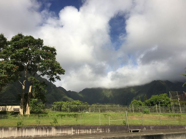 道中なんにもなくて、同じ景色が続きます。