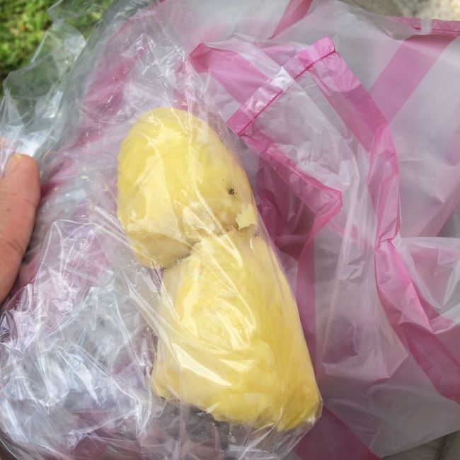 2つで手のひらに乗るくらいの大きさで100元でした<br />買いたては何も匂わなかったのに、公園で食べようと少し持ち歩いたらちょっと臭くなってきました<br />味は甘くてまあ、美味しかった(笑)