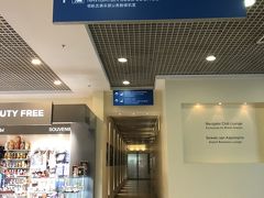 モスクワ ドモジェドヴォ空港 (DME)