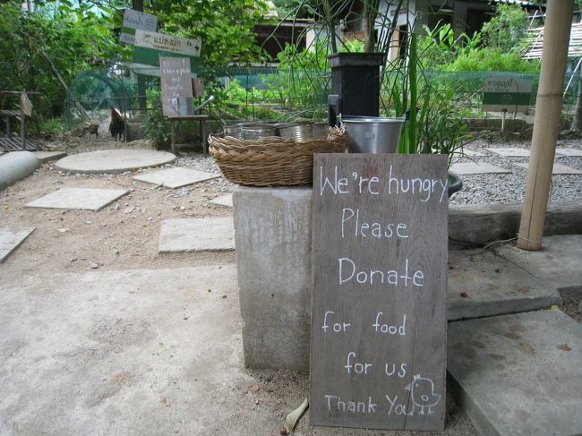 ドネイションの輪が広がりますように・・・