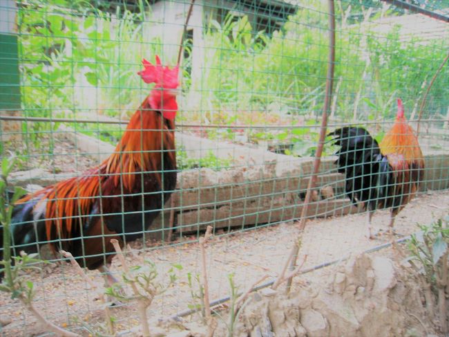 良い感じにfree　run　仕様になっていた<br /><br /><br /><br />