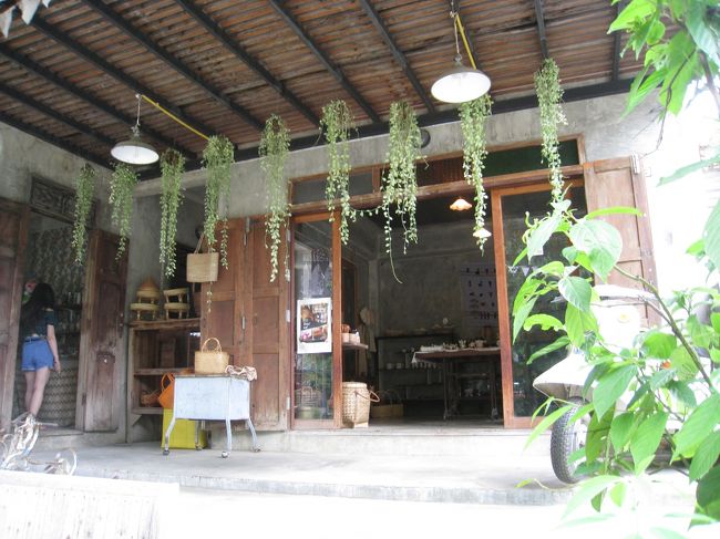 観葉植物とデニムお姉さま