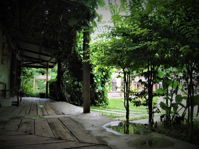 歩いてるだけで癒やされる