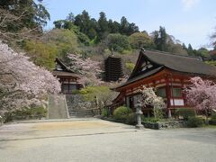 このけまりの庭では、11月３日の文化の日、盛大にけまり祭が行われるそうです。