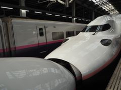 15:00の月岡温泉のバスに乗って豊栄駅へ。そこからの電車の接続はとても良く新幹線までスムーズに乗れました。帰りは連結されたMAX。