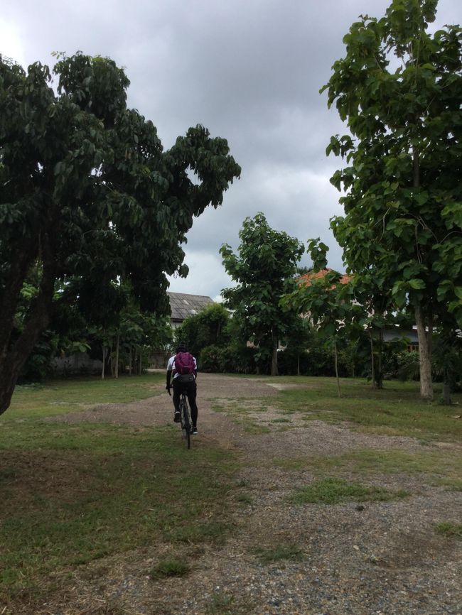 朝早くに出発した相棒だったが、タイの湿度・暑さ・斜度に　<br /><br />歯がたたず降参して帰ってきた<br /><br />結局はドイインタノンの入り口付近の国立公園までの結果に終わる