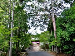 京都薬用植物園 (武田薬品)のすぐ奥にある曼殊院門跡
曼殊院の正門 勅使門
ここからは入れないので 左に行くと