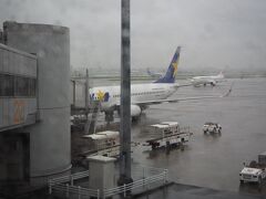 おはようございます。初日です。羽田空港に到着しました。本降りの雨です・・・
数年ぶりのスカイマークで那覇に向かいます。