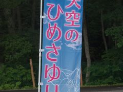 　宇都宮を丑三つ時に出発し、4時半に南会津町の高清水自然公園のヒメサユリの群生地入り口に到着。ここは早朝に撮影に来るカメラマン向けに4時にオープンしている。8時からの通常のオープンでは入場料は￥３００だが、撮影のために早朝に入場するには\1,000の入場料を払わなければならない。