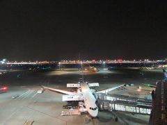 展望ラウンジから、
羽田空港国際線ターミナルからの夜景
多分、この飛行機でバンコクへ