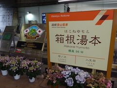 そして新宿を出ておよそ1時間。箱根湯本に到着しました～(´▽｀)
(ロマンスカー側は混んでいたので、箱根登山電車側で写真を撮りました。)