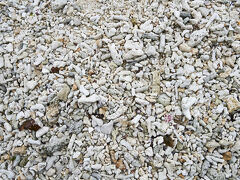 他の団体観光客をさけるように、集落を抜けて浜に行ってみる。
そしたら星の砂とやらの浜に、別の団体さんがいらっしゃったでござる。。