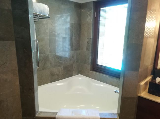 変わった形のバスタブ。<br /><br />このラグーナって、みんなこの形のバスタブらしい。<br />どなたかの旅行記に書いてありました。<br /><br />今回はスウィートにアップグレードされてますが、水回りはみんな同じ感じかもしれません。