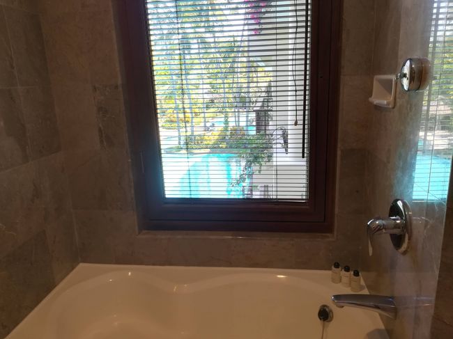 バスタブの窓からはプールが見れます。