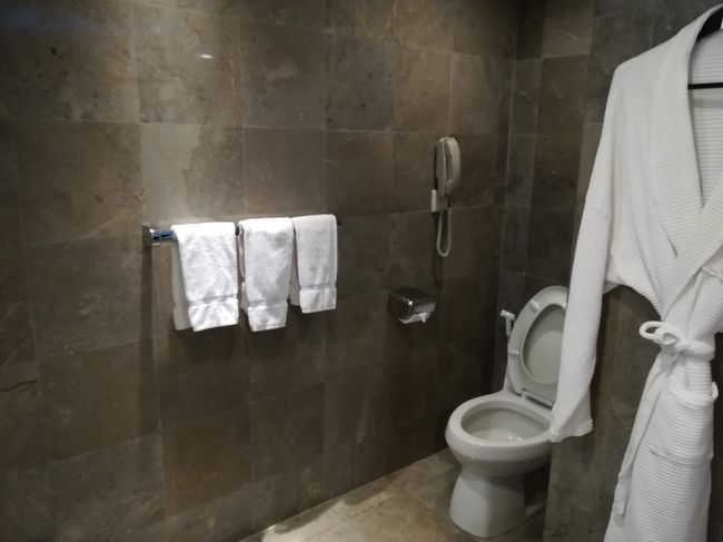 で、シャワールームの前にトイレ<br /><br />これはウォシュレットではありません。<br /><br />やっぱり、ラグーナは設備は古いですね。<br />仕方ないです。