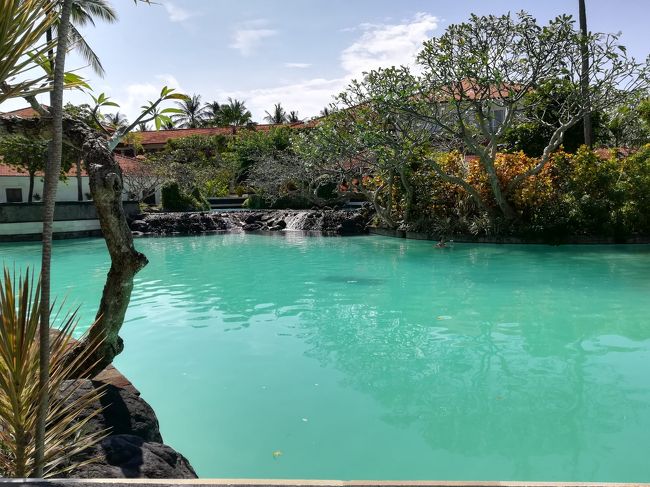 小さな滝のあるぷーるもあります